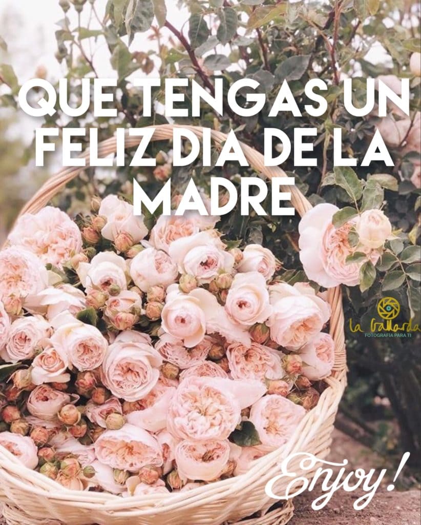 FELIZ DIA DE LA MADRE